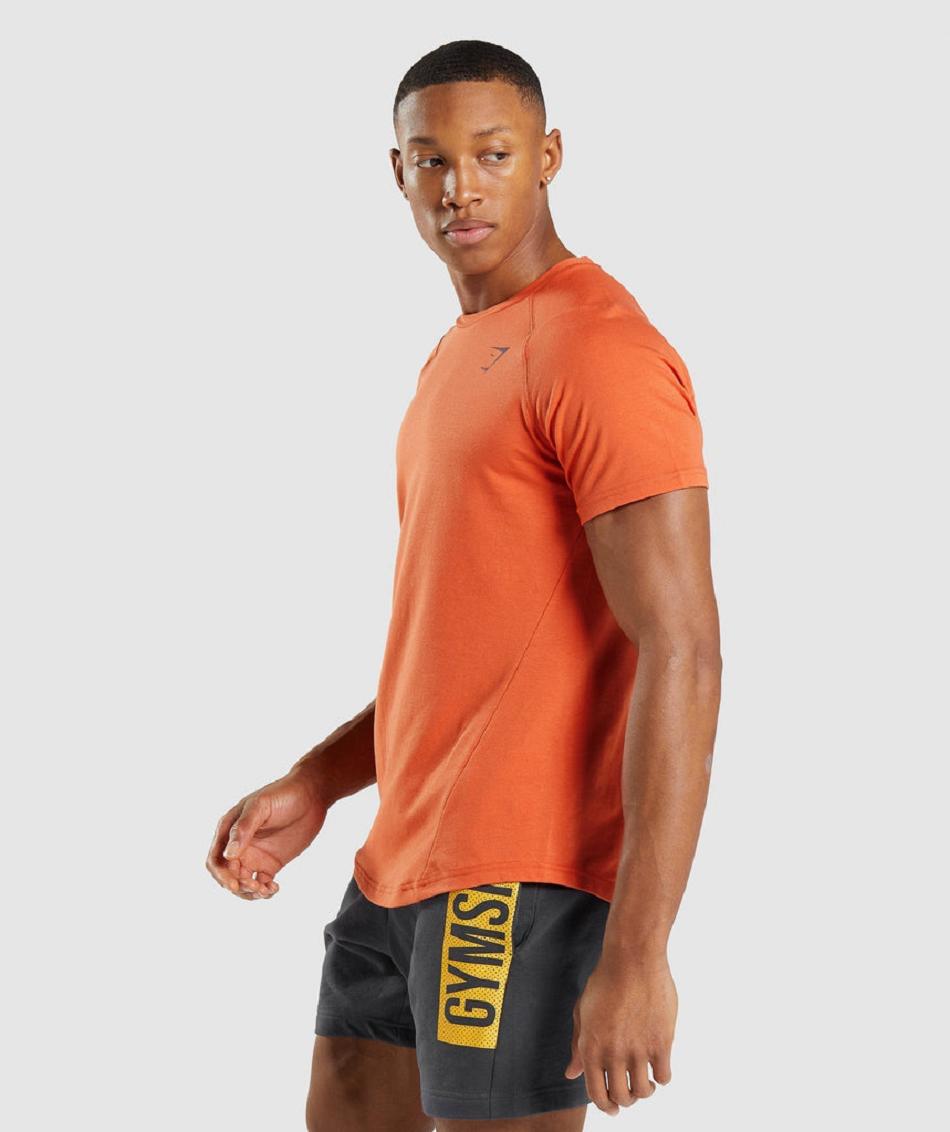 T Shirts Gymshark Bold Hombre Naranjas | CO 3380FDN